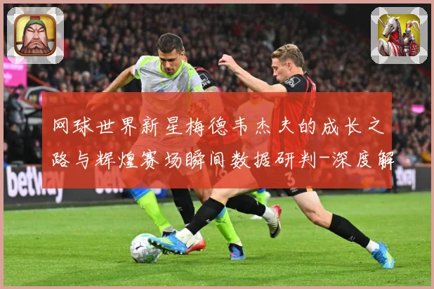 网球世界新星梅德韦杰夫的成长之路与辉煌赛场瞬间数据研判-深度解析