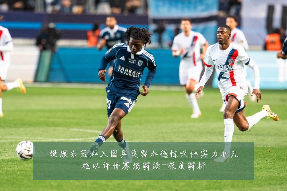 樊振东若加入国乒莫雷加德惊叹他实力非凡难以评价赛场解读-深度解析