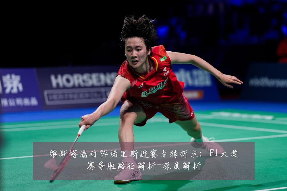 维斯塔潘对阵诺里斯迎赛季转折点:F1大奖赛争胜路径解析-深度解析